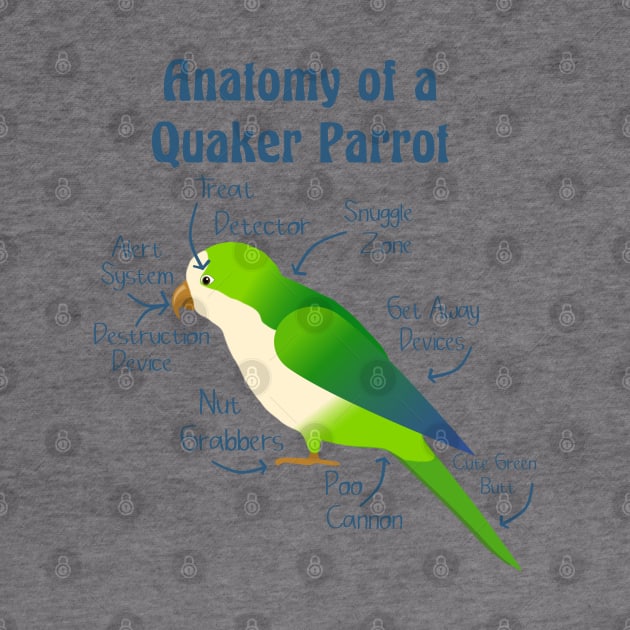 Anatomy of Quaker Parrot Monk Parakeet by Einstein Parrot